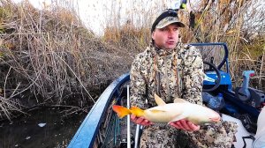 РЫБАЛКА КАК ИЗ ПУЛЕМЁТА, РИСКНУЛ И УГАДАЛ - САЗАНА ПОЙМАЛ! Домик для рыбалки "В гостях у Клёвого Кра