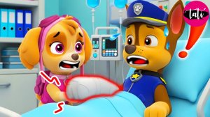 Что случилось С ЧЕЙЗОМ?! СКАЙ, Пожалуйста, Не Плачь!! | 3D Анимация Щенячий Патруль