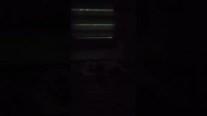 пять ночей с ам нямом 2