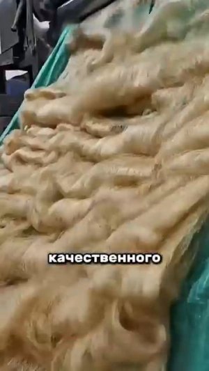 Он сколотил состояние 💰 на листьях агавы 🍃.