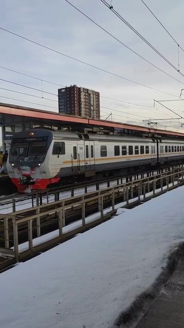 Электропоезд ЭД4М на платформе Окружная МЦД-1