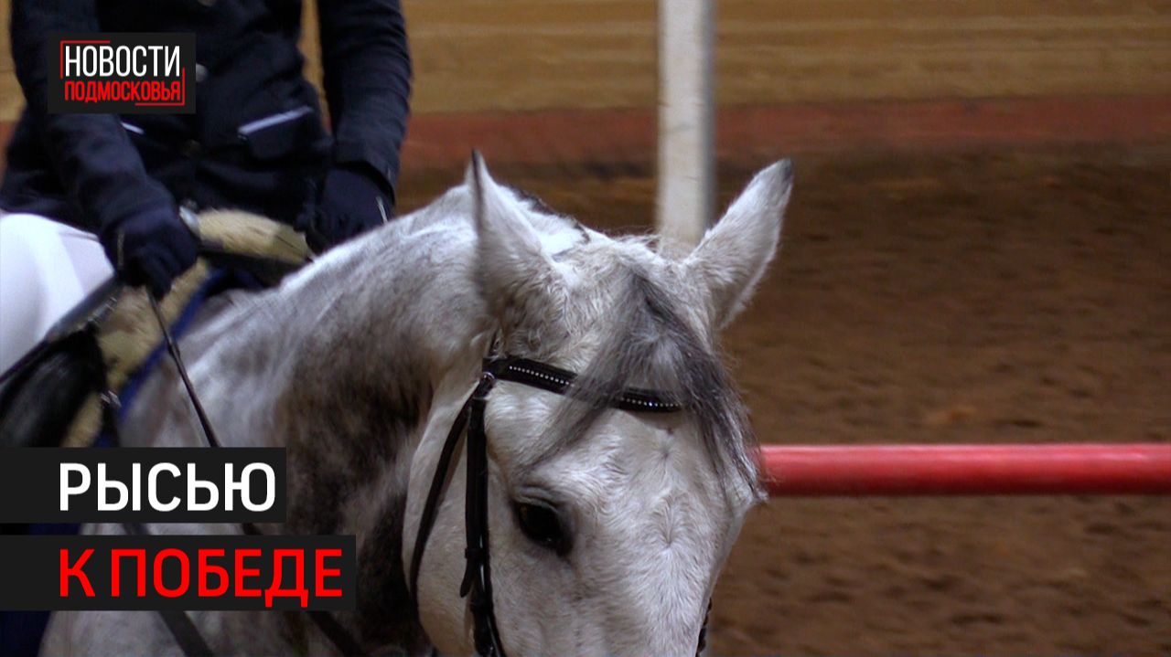 Соревнования по конкуру прошли в Химках // 360 ХИМКИ смотреть онлайн