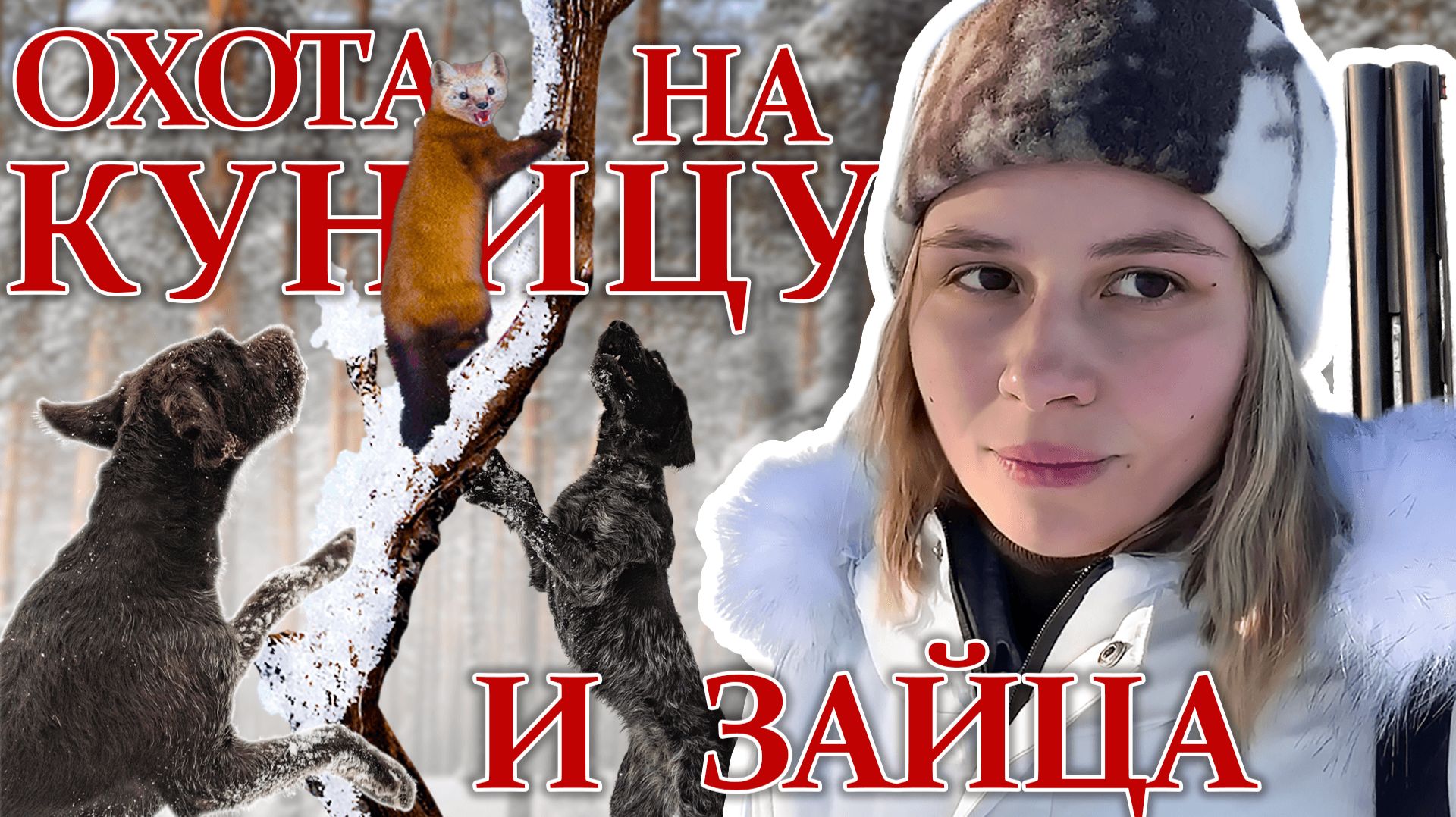 Охота на куницу и зайца с дратхаарами смотреть онлайн