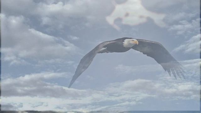 Орёл и вороны смотреть онлайн