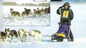 1994 год. Симпозиум по ездовому спорту в Германии.