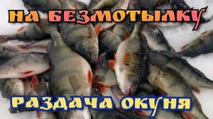 Безмотылка на оке, МОРМЫШКА!!! которая ВТОРОЙ ГОД косит ВСЁ ПОДРЯД