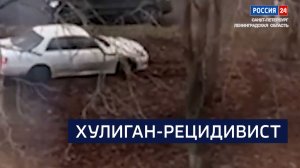 ВЕСТИ 24 Санкт-Петербург от 25.11.2025