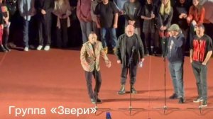 Кирилл Исаев. Видеорепортаж с предпоказа фильма о группе "Звери"