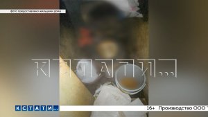 Ни соседи, ни коммунальщики не могут справиться с отшельником, превратившим квартиру в отхожее место