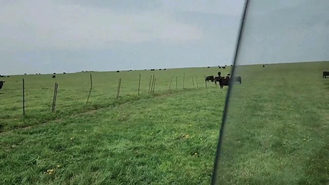 Ep.258 Visiting Russia's Largest Agricultural Company (Russian Subtitles) смотреть онлайн