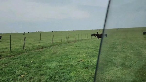 Ep.258 Visiting Russia's Largest Agricultural Company (Russian Subtitles)