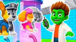 ЗОМБИ РАЙДЕР БЕЗУМНЫЙ УЧЁНЫЙ УКРАЛ ЦВЕТА у ЩЕНЯЧИЙ ПАТРУЛЬ в МАЙНКРАФТ