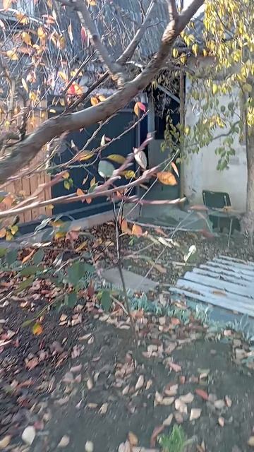 Киса хочет кушать😃 смотреть онлайн