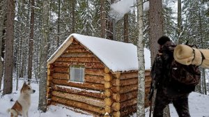 ОХОТА С ЛАЙКОЙ НА ПУШНОГО ЗВЕРЯ. ЖИЗНЬ В ТАЙГЕ, СТАВЛЮ КАПКАНЫ.