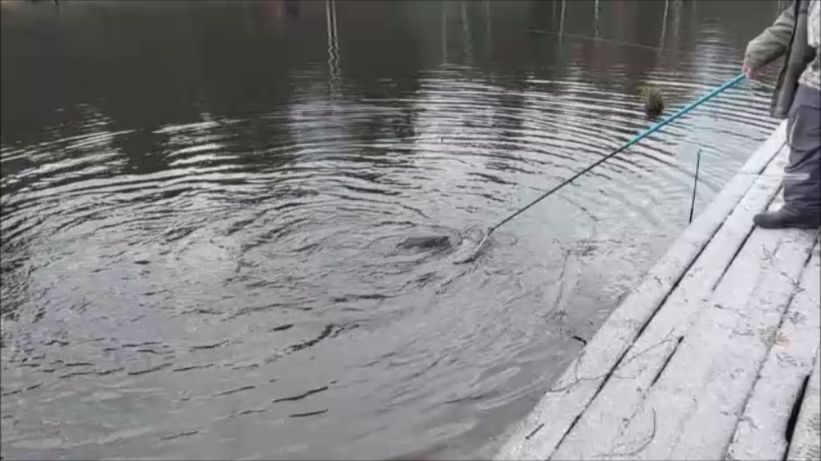 Обзор с верхнего водоёма. смотреть онлайн