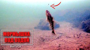 Зимняя рыбалка на мормышку. Ловля ротана. Подводная съемка.