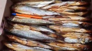 Корюшка холодного копчения