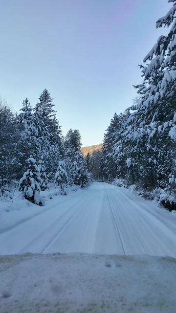 Дороги, дороги... Опять мы мчим в снежное царство.