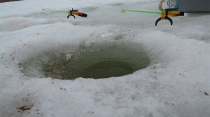 ПЛОТВА НЕ ХОЧЕТ УХОДИТЬ С ТОЧКИ (ПОДВОДНАЯ СЪЁМКА). ЛОВЛЯ ПЛОТВЫ ЗИМОЙ. ЗИМНЯЯ РЫБАЛКА