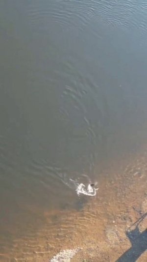 На хрена ты Ездишь на рыбалку. 😏