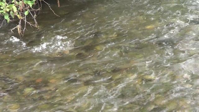 Осенняя пора.