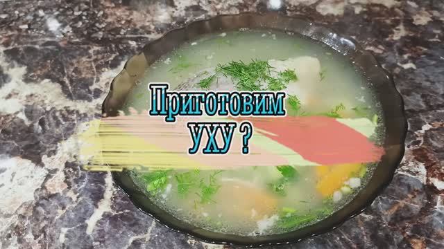Домашняя уха — ароматный и простой рецепт 🐟🔥 смотреть онлайн