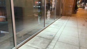 С Канисом по Тверской Ямской к Белорусскому вокзалу ноябрь 2025