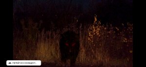 только не осуждайте меня