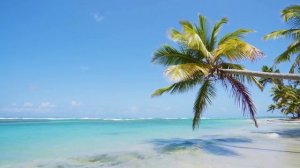 Спокойная Музыка для Расслабления и Сна