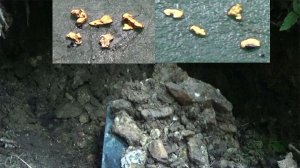 ynfqob60nzmht3syПотайная яма с Золотом! #2