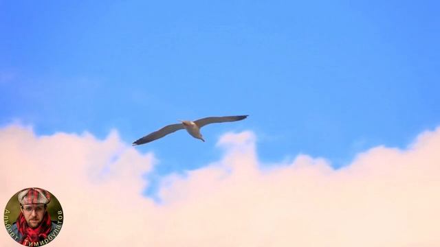 Однажды бросив в море монетку Писал в преддверии поездки в Абхазию(думал что то изменилось, но увы) смотреть онлайн