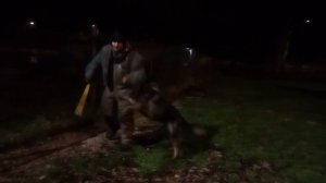 Валдай с Красных Прудов  2025-11-23