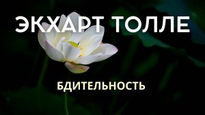 Бдительность— это тишина за мыслью. ЭКХАРТ ТОЛЛЕ