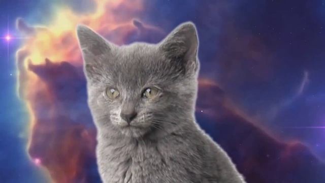 🤣 ...Полёт во Вселенной... 🤣 смотреть онлайн