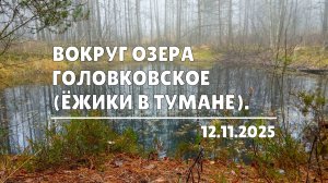 Вокруг озера Головковское (12.11.2025)