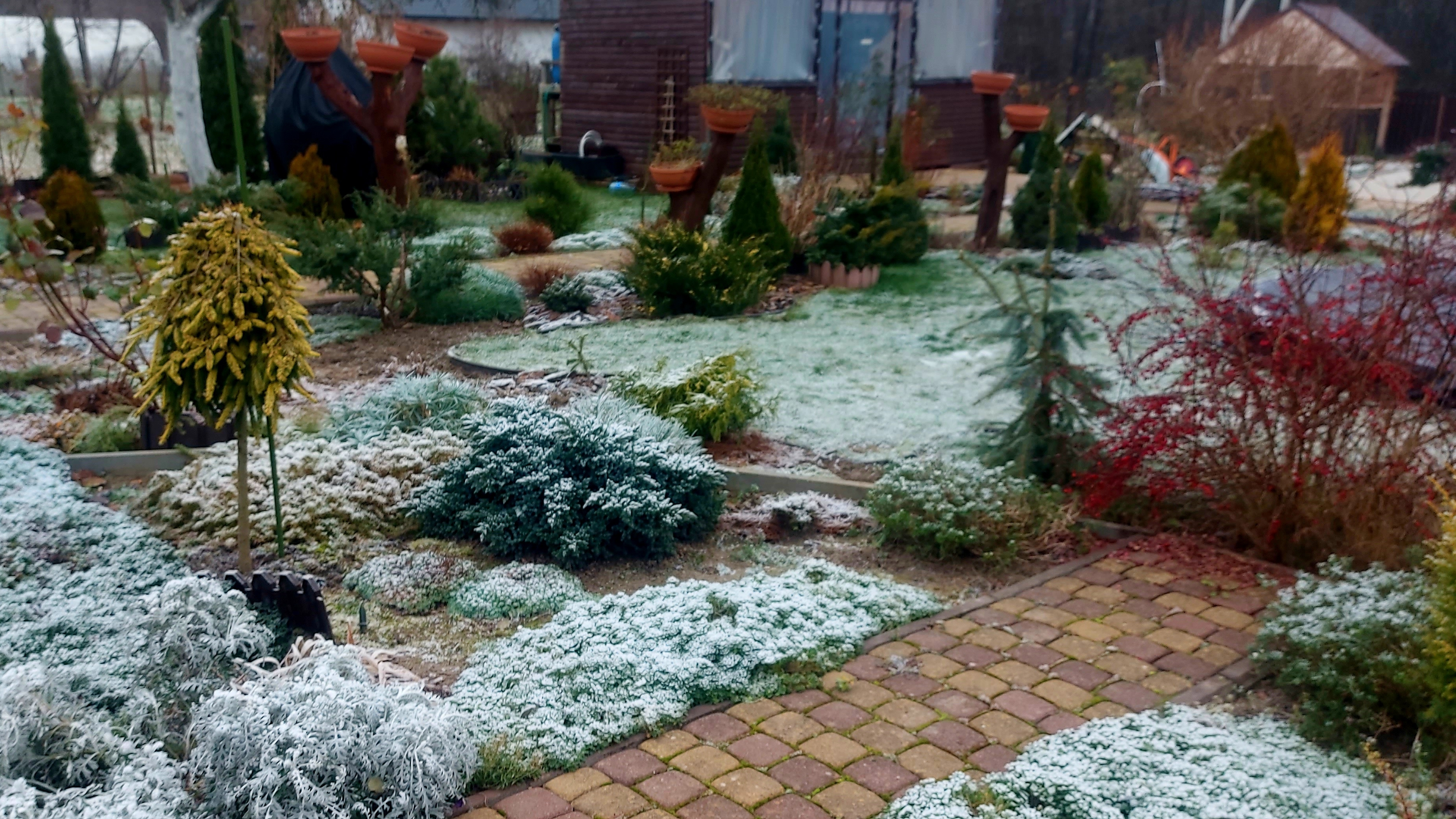 Ноябрь-занавес осени.Подморозило❄️.На даче красиво.❄️ смотреть онлайн