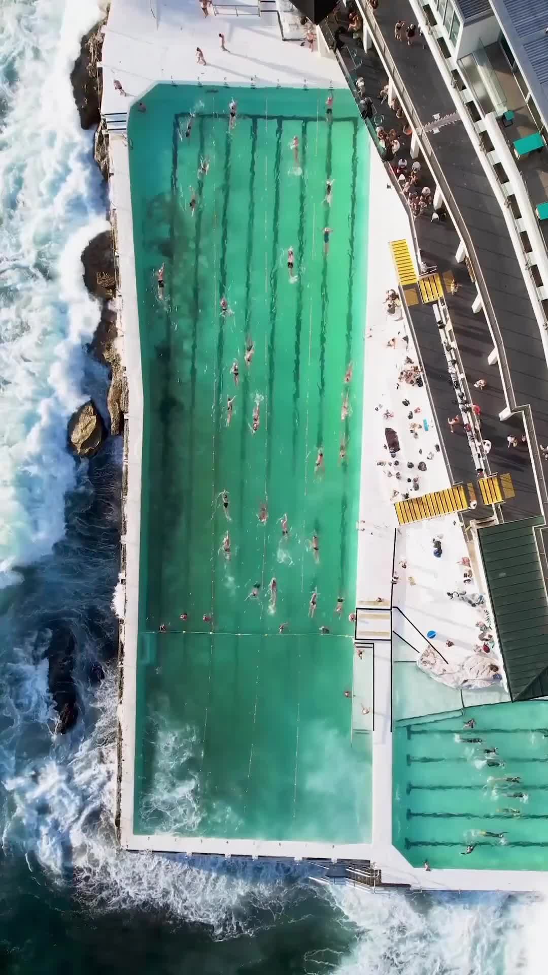 Bondi Icebergs - это уникальный плавательный комплекс в Сиднее, который был задуман австралийским... смотреть онлайн