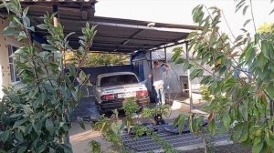 Переехали на Юг/Приходим в себя после поездки/Закончили строить вольер для собаки.