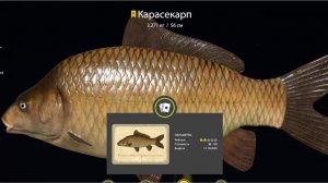 Русская Рыбалка 4 !!!