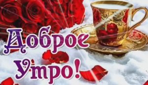 ДОБРОЕ УТРО ВТОРНИКА. ПОЖЕЛАНИЕ ДОБРОГО УТРА