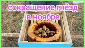 Подготовка пчёл к зимовке на улице продолжается. Пчеловодство!