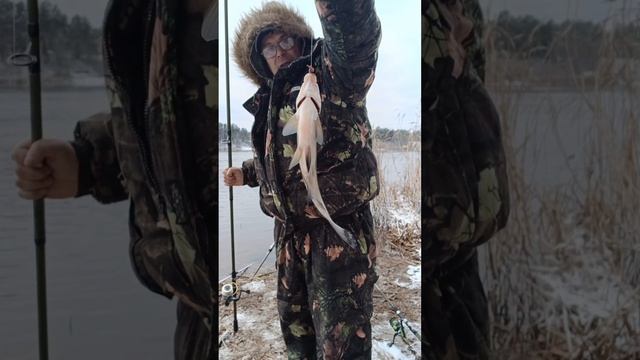 Рыбалка в Ленинградской области №3. Река Волхов, закрытие жидкой воды. Ловлю крупных ЛЕЩЕЙ.