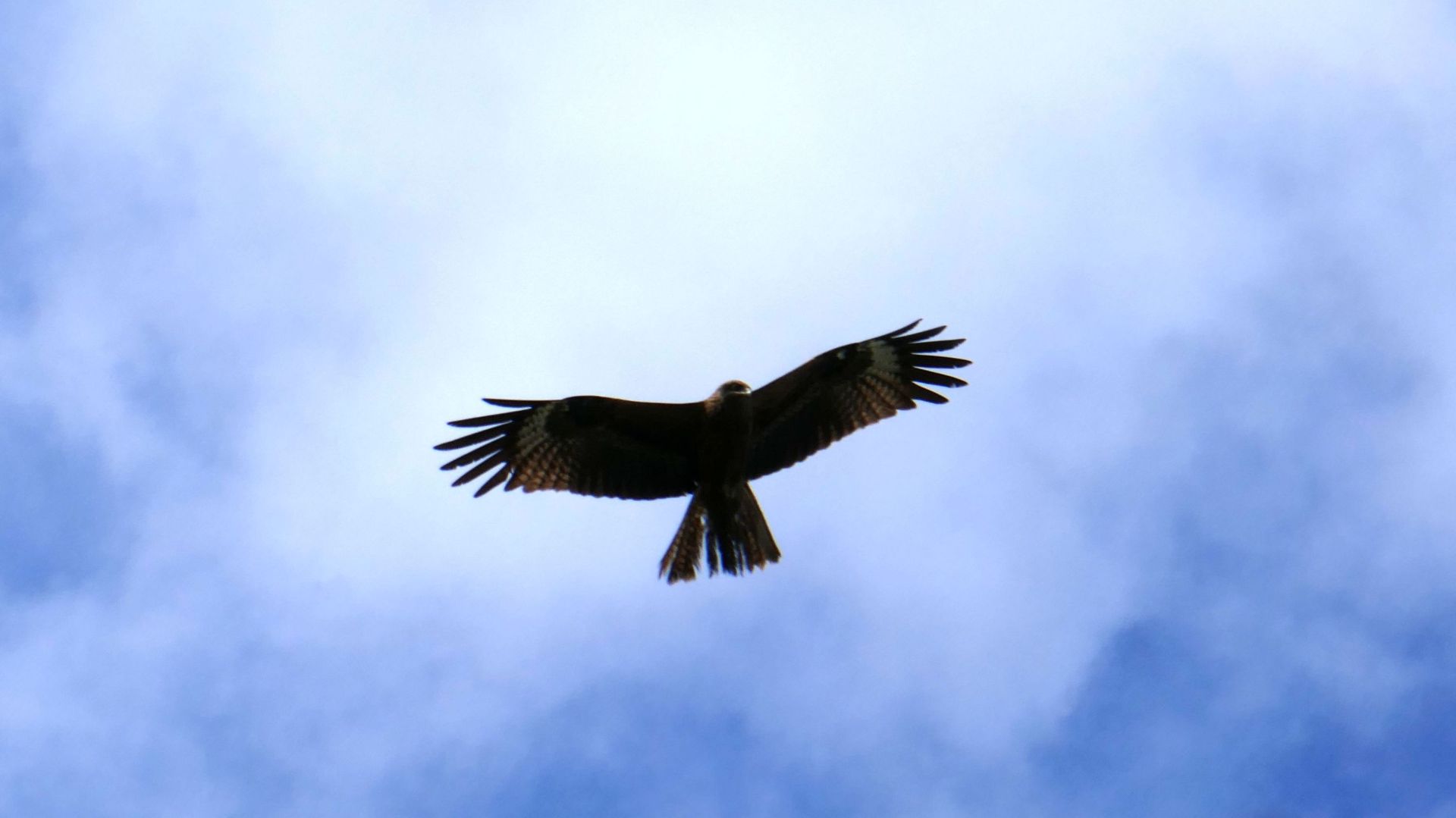 Мне бы в небо! смотреть онлайн