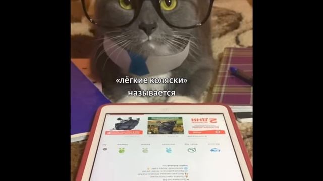 видео с канала kotiynet