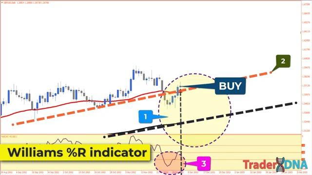 LARRY WILLIAMS Sniper Entries - Best Momentum Trading Strategy for Quick Profits [get.gt] смотреть онлайн