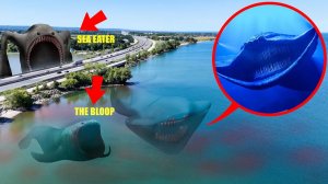 Я ПОЙМАЛ EL GRAN MAJA В РЕАЛЬНОЙ ЖИЗНИ!