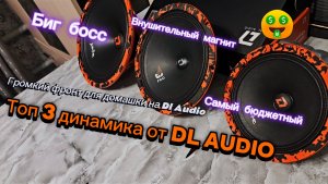 ТОП 3 ЛУЧШИХ БЮДЖЕТНЫХ ЭСТРАДНЫХ ДИНАМИКОВ ОТ DL AUDIO. BARRACUDA, GRYPHONE PRO #автозвук