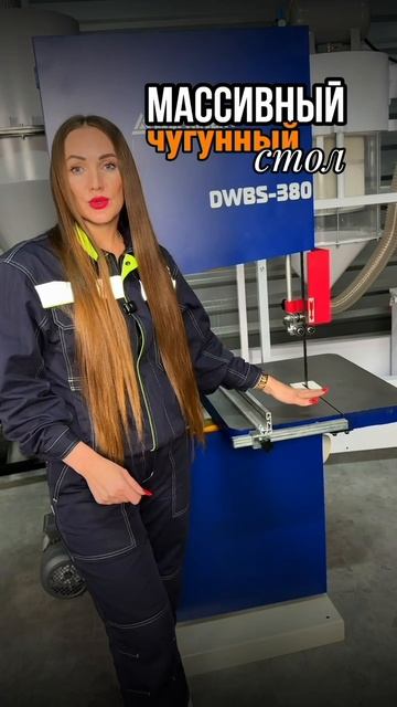 ДЛЯ БРУСА И ТВОРЧЕСТВА: В чем разница между DWBS-300 и DWBS-380?