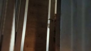 2 сезон 1 серия- [ненависть]