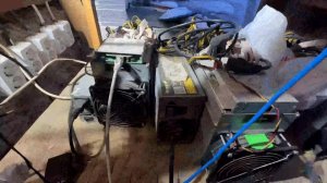 Нелегальную майнинг-ферму обнаружили в Ленобласти у цыган